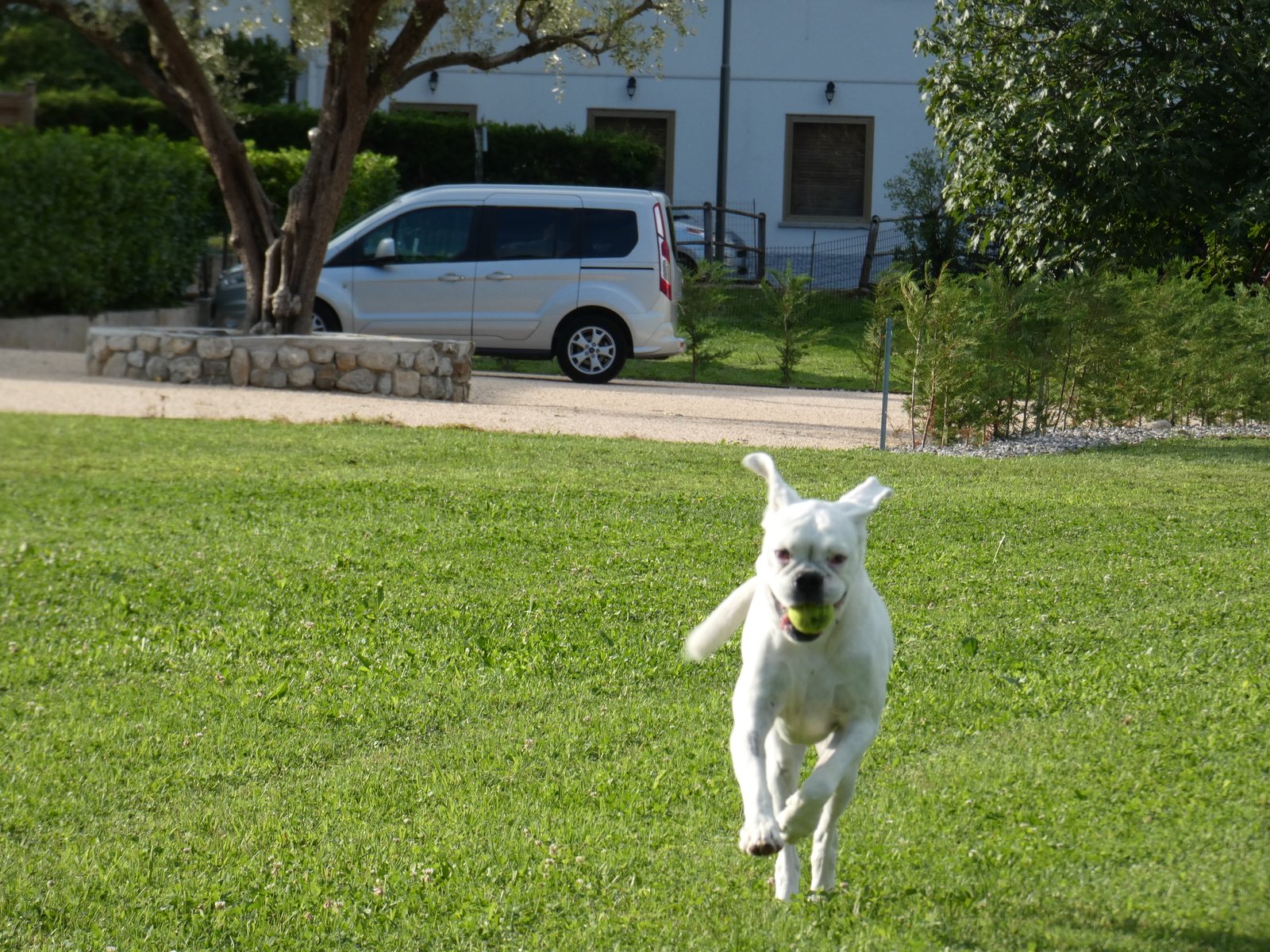 Kelly nel giardino della Dolce Vita Guest House